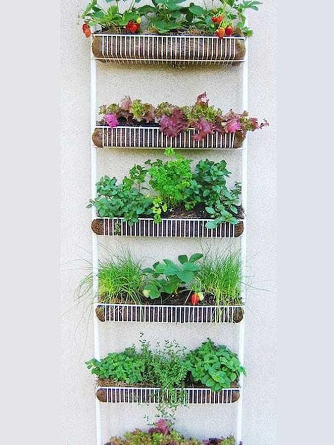 Размещение растений на балконе