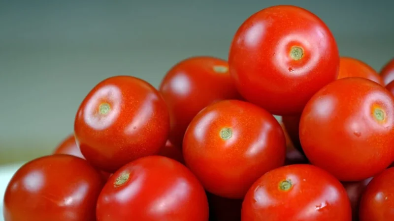 Как повысить урожайность томатов в июле: советы и рекомендации