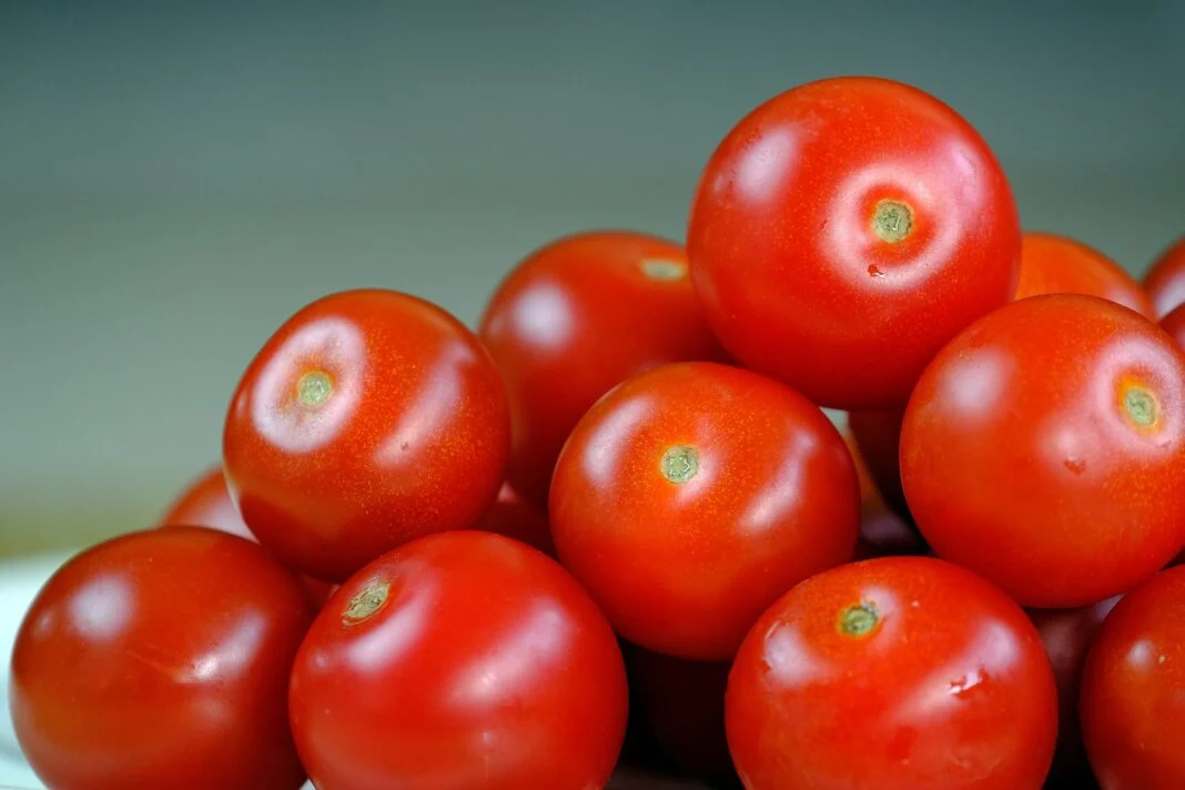 Как повысить урожайность томатов в июле: советы и рекомендации